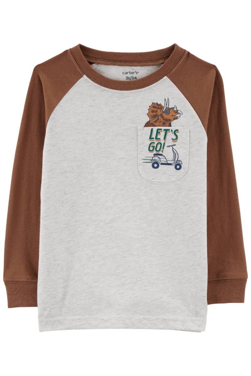 Dinosaur Crew Neck Sweater – Carters Pakistan